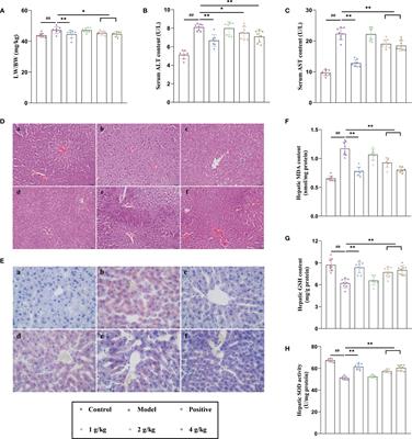 Proteomics and network pharmacology of Ganshu Nuodan capsules in the prevention of alcoholic liver disease